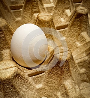 One egg on the egg cartons , single object , copy space with dark background