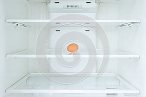 One egg in a fridge, Shortage.