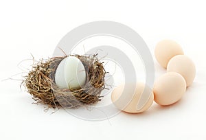 One egg inside the nest and other eggs outside