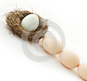 One egg inside the nest and other in queue