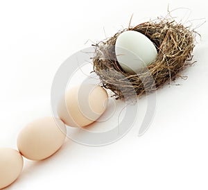 One egg inside the nest and other in queue