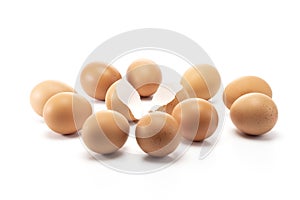 The one egg open with other enclose for looking