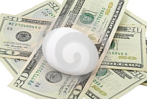 One Egg on Twenty Dollar Bills Isolated On White