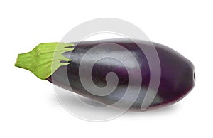 One eggplant isolated on white background. Cutout through clipping path