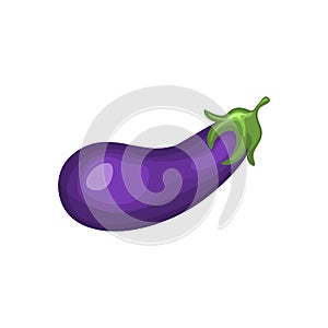 One eggplant isolated on white background. vector illustration