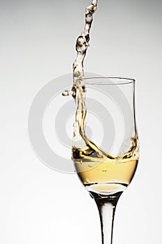 One elegant glass with sparkling champagne with splash