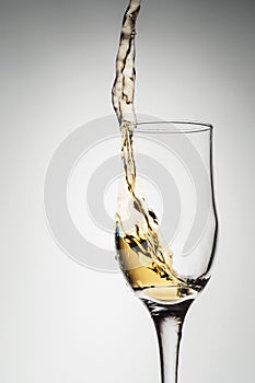 One elegant glass with sparkling champagne with splash