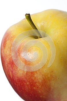 One Elstar apple