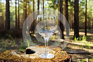 One empty wineglass on a stump on a background of a summer forest.