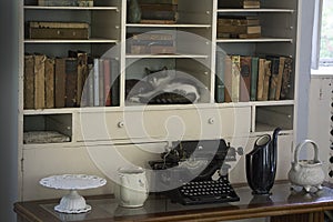 One of Ernest Hemingway`s six toe cats sleeping in his bookcase in his writing room.