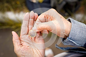 One euro coin in the hands of an elderly lady. Poverty concept, no retirement savings