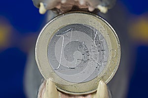 One Euro coin in mouth of hippo figurine