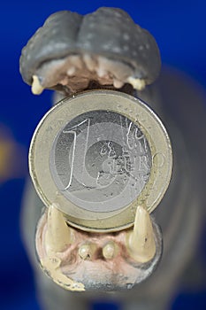 One Euro coin in mouth of hippo figurine