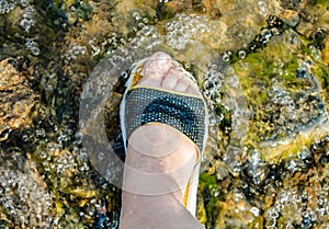 One Female foot shod in shale stands on rocks in the lake