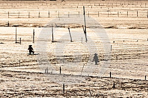 One fishman working on the black beach