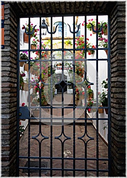 One of the flourish patios in Cordoba, Andalusia, Spain