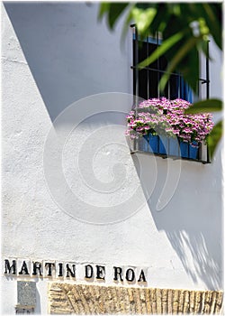 One of the flourish patios in Cordoba, Andalusia, Spain