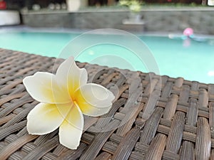 One flower besides the pool