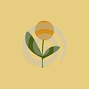 One flower dandelion, color illustration. Outline drawing. Simple flat style.