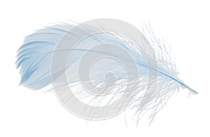 One fluffy light feather isolated on white