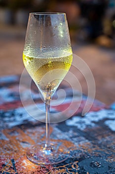 One flute glass of cold sparkling wine champagne brut