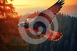 One Flying Falcon in the Nature Background in the Evening. Generative AI