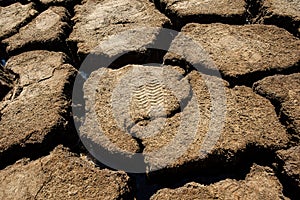 One footprint on dry salt field in Ly Nhon, Can gio, vietnam