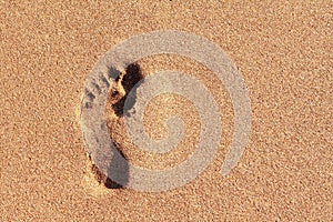 One footprint of a human barefoot left foot on smooth brown sand