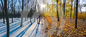 One forest glade in autumn winter conditions at same time