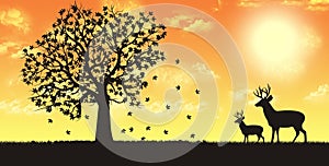 One of four seasons - fall, autumn rendering