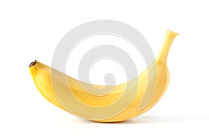 One Fresh Banana Isolated