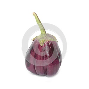 One fresh eggplant isolated on white