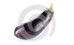 One fresh eggplant isolated on white