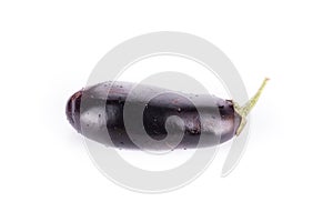 One fresh eggplant isolated on white