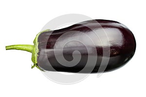 One fresh eggplant isolated on white background cutout. File contains clipping path