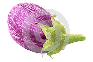 One fresh eggplant isolated