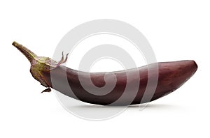 One fresh eggplant
