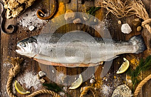 One fresh fish salmon lies on gray boards. Around the sea pebble