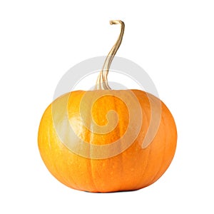 One fresh orange pumpkin isolated on white