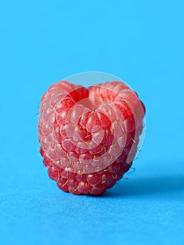 One fresh raspberry
