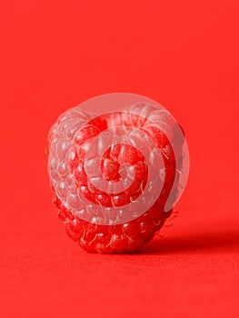 One fresh raspberry