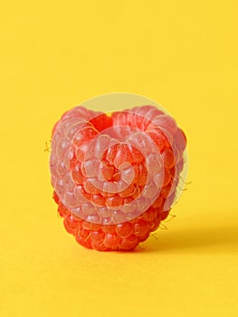 One fresh raspberry