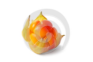 One fresh ripe cloudberry isolated on white background