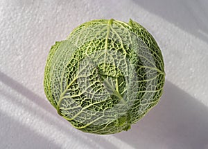 One fresh savoy cabbage isolated on White background