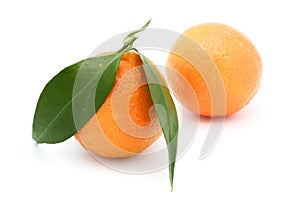 One fresh tangerine or orange fruit isolated on white background with clipping path