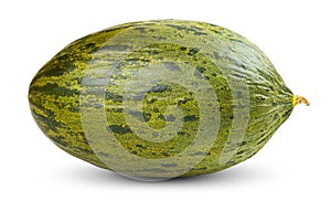 One Fresh whole Piel de sapo melon on white photo