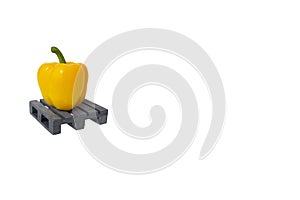 One fresh yellow paprika standing on dark grey mini pallet isolated, white backdrop,large copy space.Sweet bell pepper