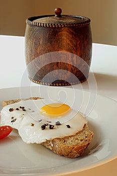 One fried egg on wheaten bread