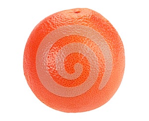 One full orange grapefruit