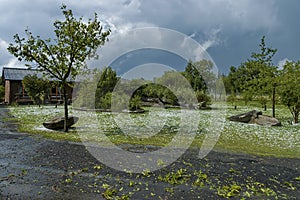 One garden after hailstorm photo